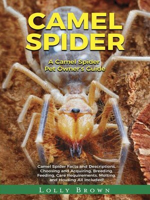 cover image of Camel Spider